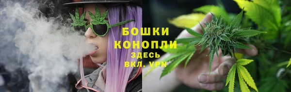 крисы Зеленодольск