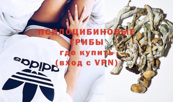 ГАЛЛЮЦИНОГЕННЫЕ ГРИБЫ Приозерск