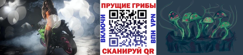 что такое наркотик  Обоянь  Псилоцибиновые грибы Cubensis 
